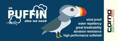 Puffin